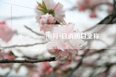 天津11月9日消防日全称