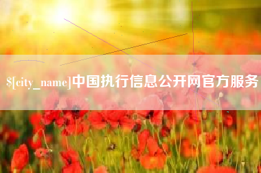 天津中国执行信息公开网官方服务