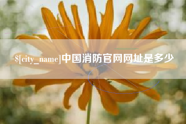 天津中国消防官网网址是多少