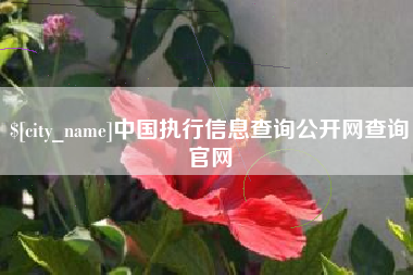 天津中国执行信息查询公开网查询官网