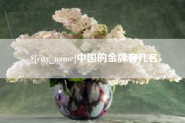 天津中国的金牌有几名