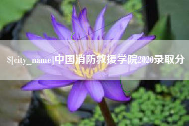 天津中国消防救援学院2020录取分