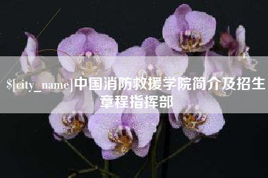 天津中国消防救援学院简介及招生章程指挥部