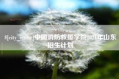 天津中国消防救援学院2021年山东招生计划