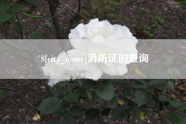 天津消防证的查询