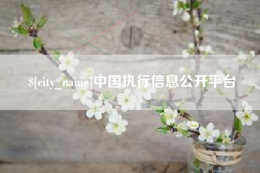 天津中国执行信息公开平台