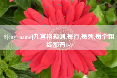 天津九宫格规则,每行,每列,每个粗线都有1-9