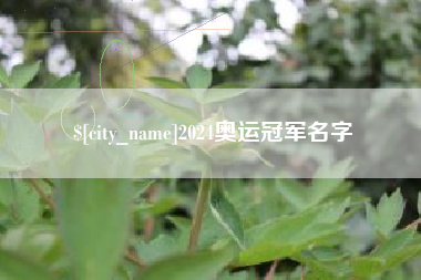 天津2024奥运冠军名字