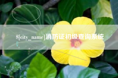 天津消防证初级查询系统
