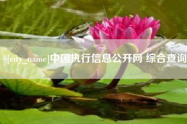 天津中国执行信息公开网 综合查询