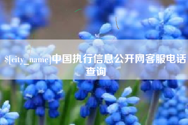 天津中国执行信息公开网客服电话查询