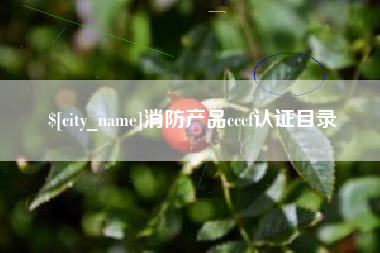 天津消防产品cccf认证目录