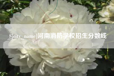 天津河南消防学校招生分数线