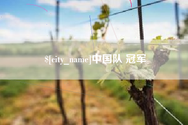 天津中国队 冠军