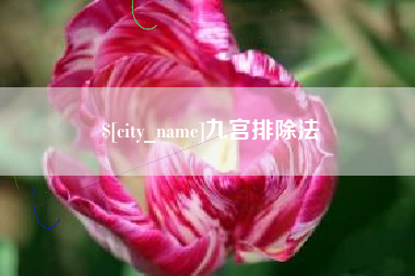 天津九宫排除法