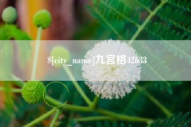 天津九宫格42633