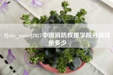 天津2021中国消防救援学院分数线是多少