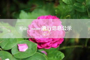 天津执行信息公示