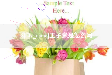 天津王子豪是怎么写