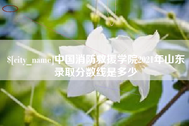 天津中国消防救援学院2021年山东录取分数线是多少