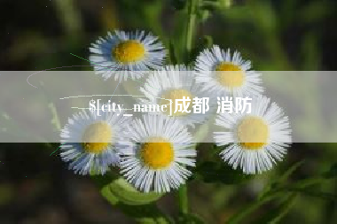 天津成都 消防