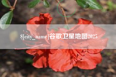 天津谷歌卫星地图2025