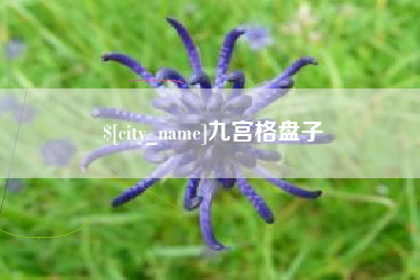天津九宫格盘子