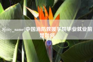 天津中国消防救援学院毕业就业前景如何
