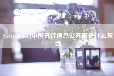 天津中国执行信息公开网是什么东西