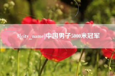 天津中国男子5000米冠军