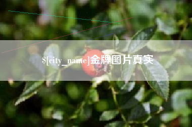 天津金牌图片真实