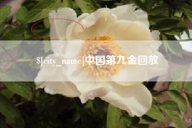 天津中国第九金回放