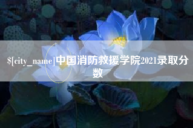 天津中国消防救援学院2021录取分数