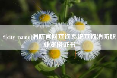 天津消防官网查询系统查询消防职业资格证书