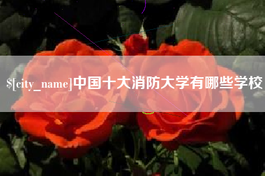 天津中国十大消防大学有哪些学校