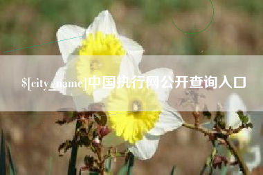 天津中国执行网公开查询入口