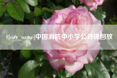 天津中国消防中小学公开课回放