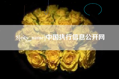 天津中国执行信息公开网