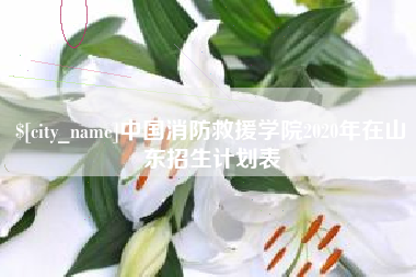 天津中国消防救援学院2020年在山东招生计划表