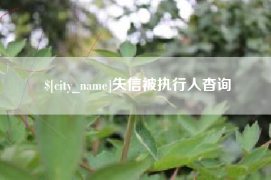 天津失信被执行人杳询