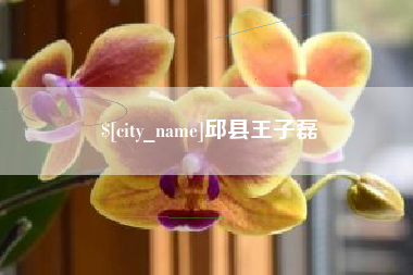天津邱县王子磊