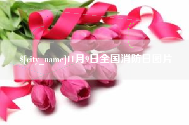 天津11月9日全国消防日图片