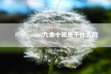 天津九金十银是干什么的