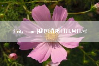 天津我国消防日几月几号