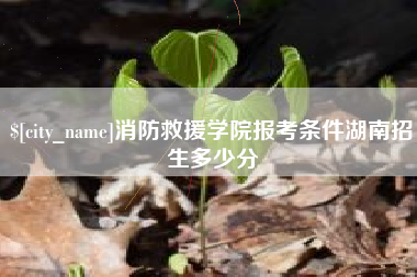 天津消防救援学院报考条件湖南招生多少分