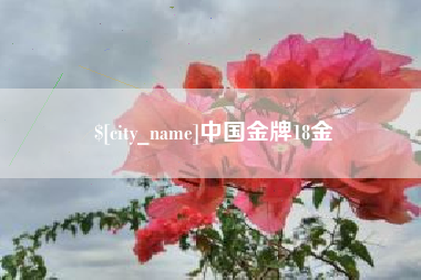 天津中国金牌18金