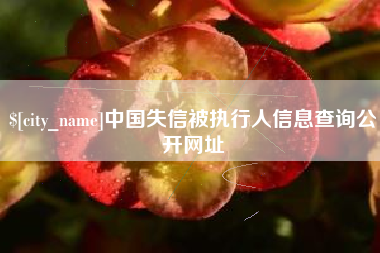 天津中国失信被执行人信息查询公开网址