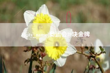 天津奥运会39块金牌