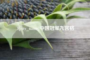 天津中国冠军九宫格