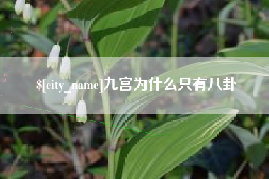 天津九宫为什么只有八卦